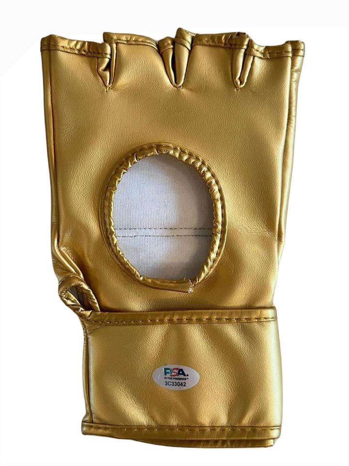 Chuck Liddell Signed UFC Hall of Fame Glove