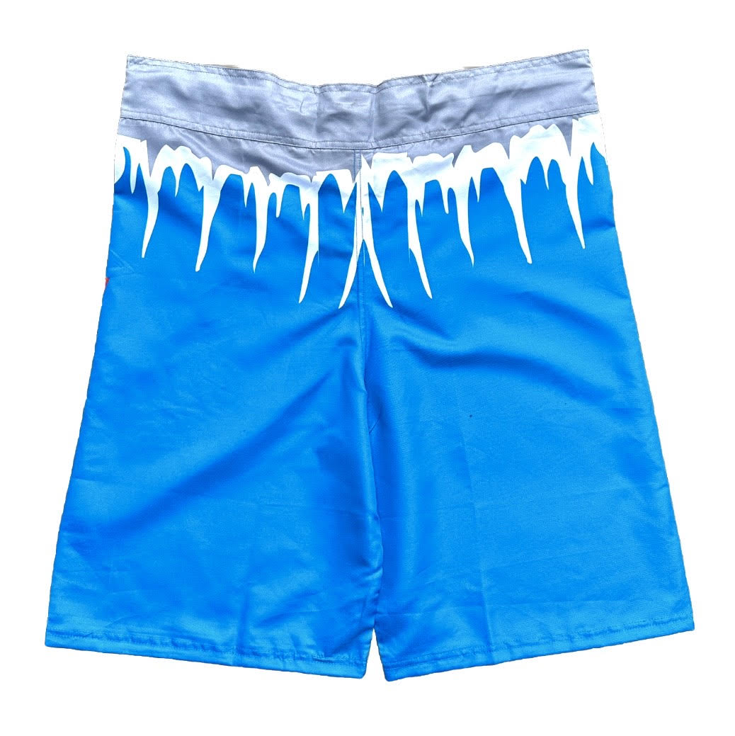 Chuck Liddell Signed Official UFC Iceman Trunks